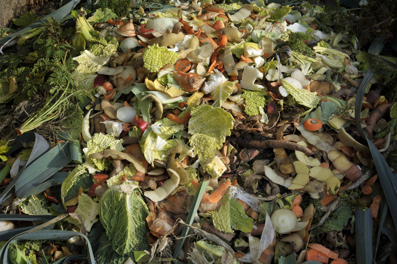 waste disposal waste